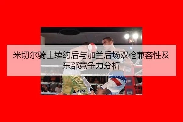 mi-qie-er-qi-shi-xu-yue-hou-yu-jia-lan-hou-chang-shuang-qiang-jian-rong-xing-ji-dong-bu-jing-zheng-li-fen-xi-2-776.jpg